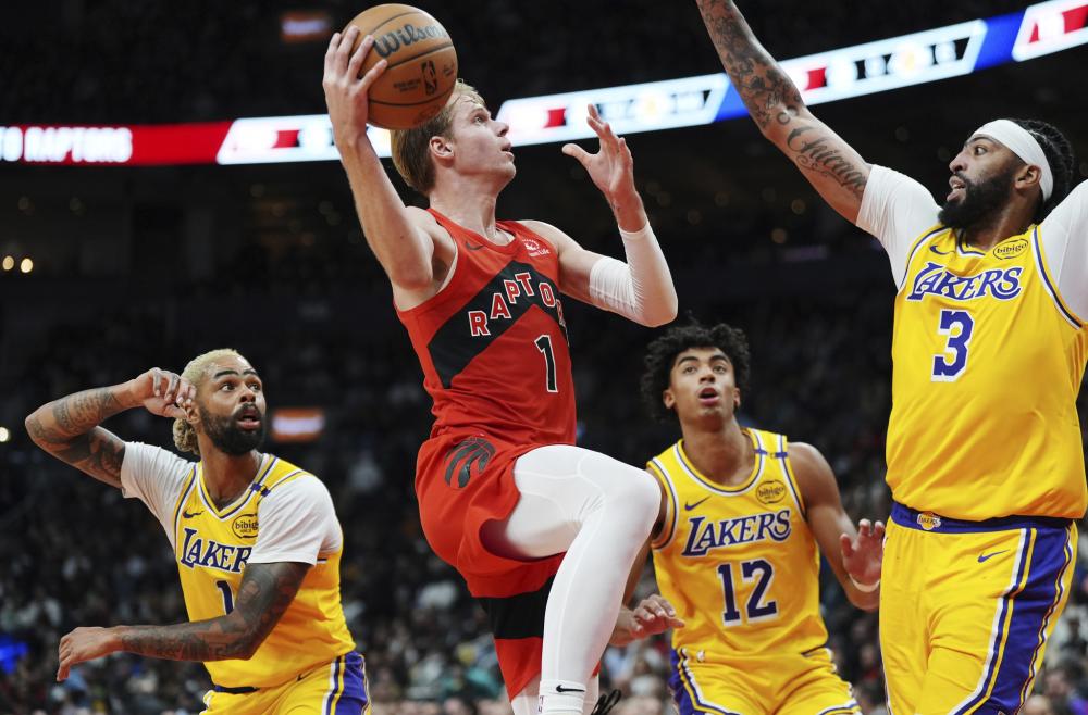 针对本次 针对本次